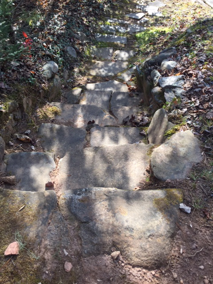 Walking in the woods at the Hambidge Center